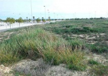 Josep Lluis Sert 29-31, ,Suelo,En Venta,Josep Lluis Sert,1007